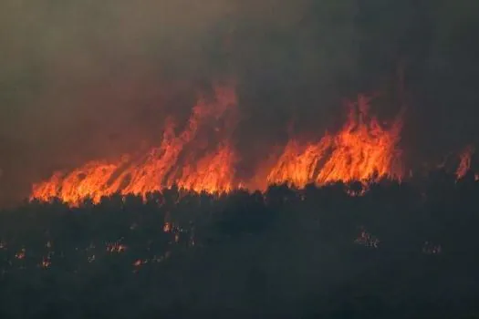 Grécia vê trégua em incêndios florestais, mesmo com previsões de até 45º C