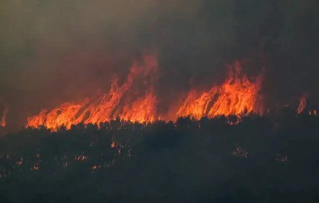 Grécia vê trégua em incêndios florestais