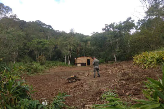 Guarda Ambiental de São Bernardo interrompe desmatamento em área de preservação permanente