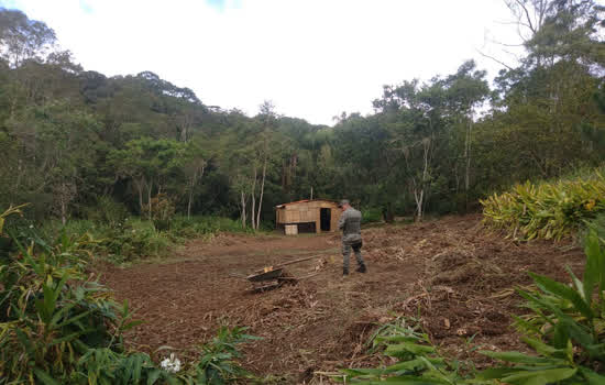 Guarda Ambiental de São Bernardo interrompe desmatamento em área de preservação permanente