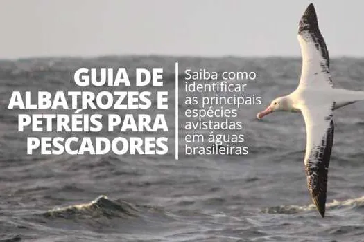 Projeto Albatroz lança guia de identificação de aves marinhas gratuito para pescadores