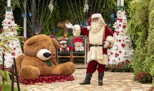 Comissão organizadora da Expoflora confirma também a realização do “Natal de Holambra”