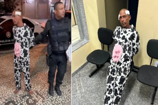 Homem vestido de vaca e mulher com chapéu de panda acaba em delegacia no Rio