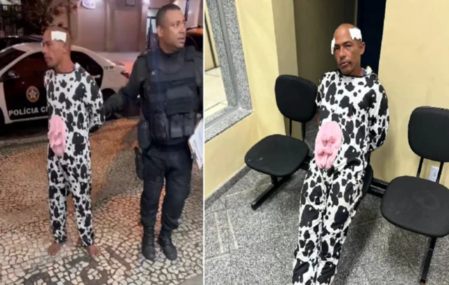 Homem vestido de vaca e mulher com chapéu de panda acaba em delegacia no Rio