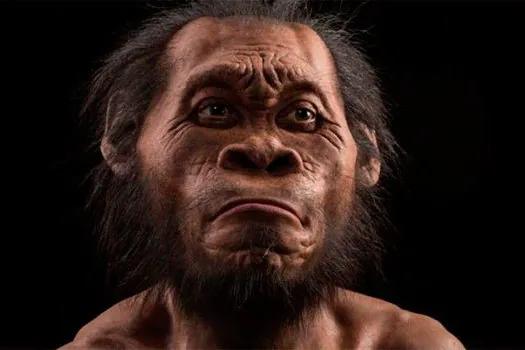 Nova espécie de hominídeo é descoberta