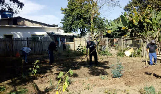 Ribeirão Pires dá início do programa Hortas Urbanas