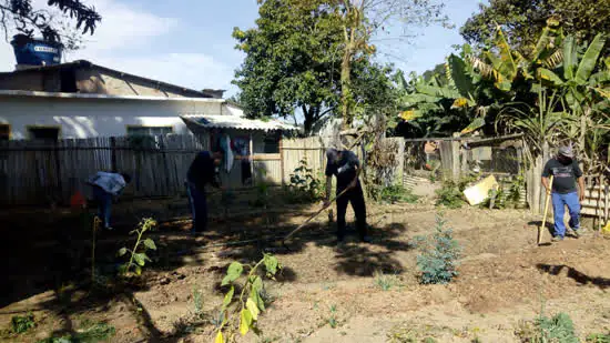 Ribeirão Pires dá início do programa Hortas Urbanas