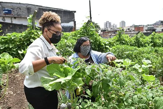 Vice-prefeita de Diadema, Patty Ferreira, visita Horta Comunitária do Jd. Takebe