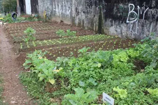 Escola infantil cria horta comunitária em Santo André neste sábado