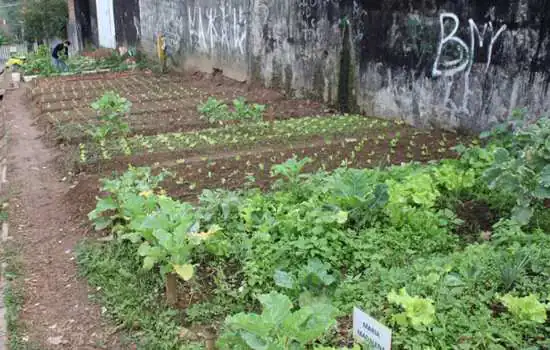 Escola infantil cria horta comunitária em Santo André neste sábado