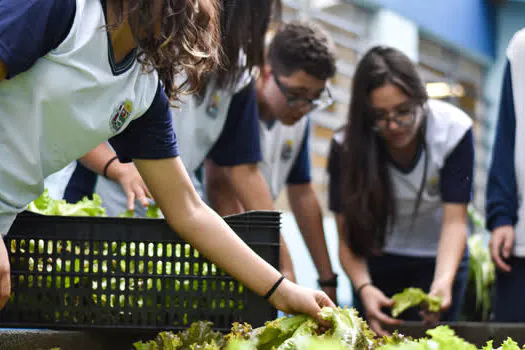 Alunos de Ribeirão Pires fazem colheita em horta escolar