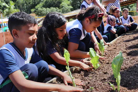 Projeto “Horta na Escola” estimula alimentação saudável em Ribeirão Pires