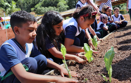 Projeto “Horta na Escola” estimula alimentação saudável em Ribeirão Pires