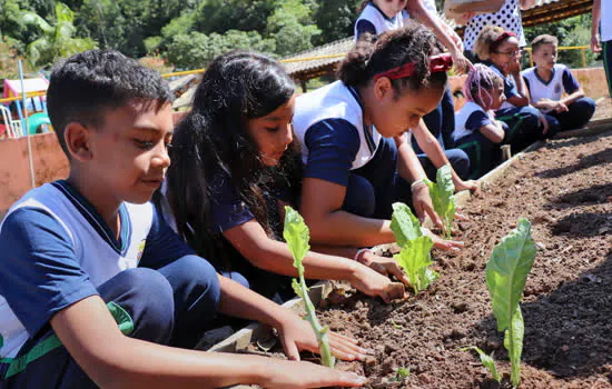 Projeto “Horta na Escola” estimula alimentação saudável em Ribeirão Pires