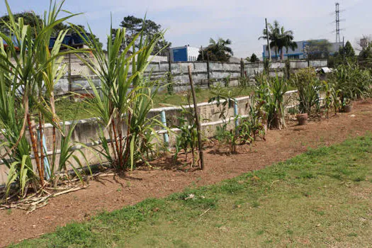 Moradores da Vila São José ganham nova horta comunitária e centro de convivência