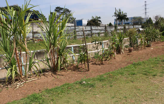 Moradores da Vila São José ganham nova horta comunitária e centro de convivência