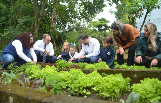 Alunos do projeto “Horta na Escola” de Ribeirão Pires fazem a primeira colheita