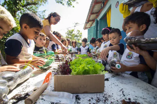 Projeto “Horta na Escola” segue na rede municipal de Ribeirão Pires