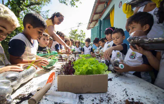 Projeto “Horta na Escola” segue na rede municipal de Ribeirão Pires