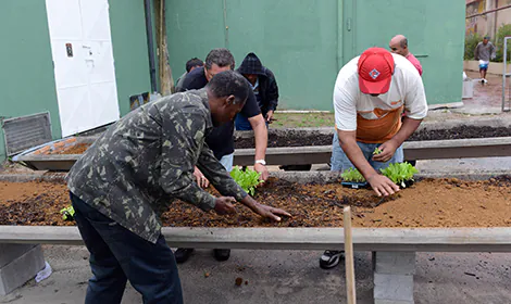 São Bernardo oferece oficina de horta urbana a moradores de rua