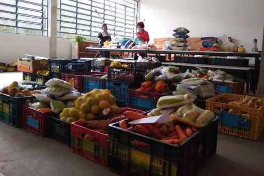 Fundo Social de Ribeirão Pires entrega 550 kg de hortifruti