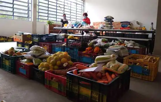 Fundo Social de Ribeirão Pires entrega 550 kg de hortifruti