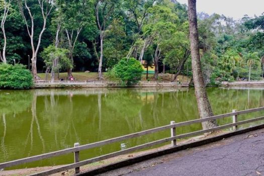 Férias nos parques Horto Florestal e da Cantareira têm programação especial 