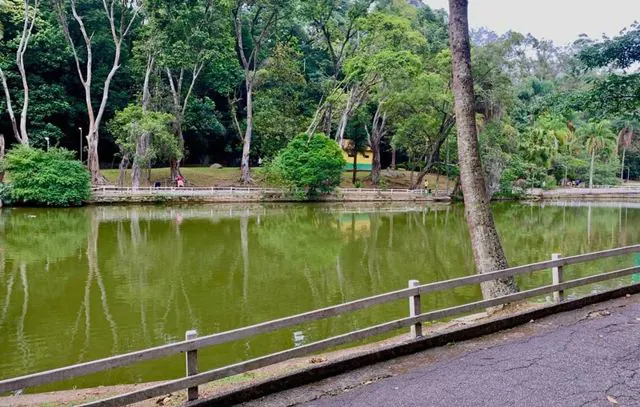 Urbia oferece programação gratuita para aniversário de 127 anos do Parque Horto Florestal