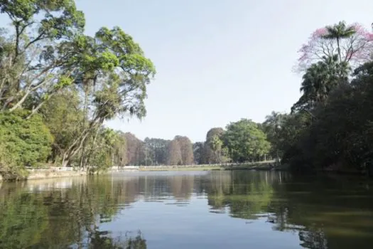 Em junho, visitantes dos Parques Horto Florestal e Cantareira terão condições especiais nas principais atividades