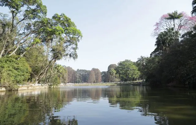 Urbia realiza visitas guiadas nos Parques Horto Florestal e Cantareira