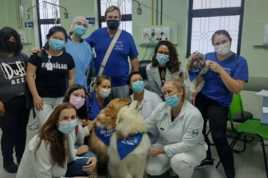 Pacientes internados no Hospital Anchieta receberão visitas de seus pets de estimação