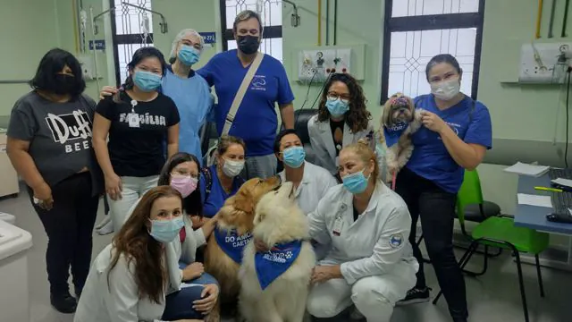 Pacientes internados no Hospital Anchieta receberão visitas de seus pets de estimação