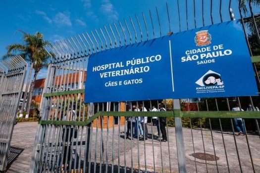 Saiba como funcionam os quatro hospitais veterinários públicos da capital paulista