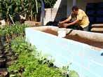 Produção de húmus em Mauá vai estimular agricultura urbana