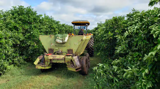 Inteligência artificial de startup ajuda fruticultores no manejo do pomar