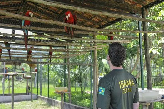 Abandonado, Ibama do Rio deixa de pagar terceirizados