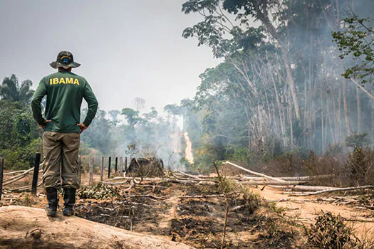 Por falta de verba, Salles vai paralisar combate ao desmatamento na Amazônia