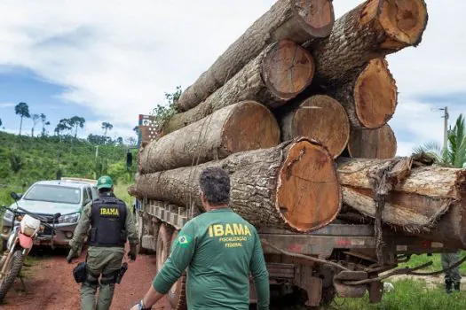 Servidores do Ibama prometem suspender fiscalização ambiental