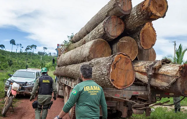 Ibama: Grupo vai fiscalizar fraudes em sistemas de controle florestal