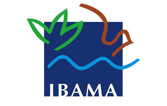 Restrição de sistema de RH faz Ibama abandonar flagrante de desmatamento ilegal