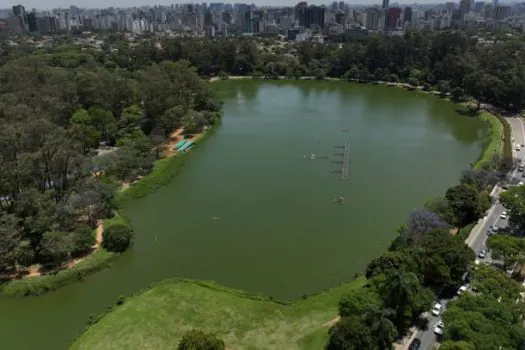 Parque Ibirapuera será enredo da Rosas de Ouro em 2024