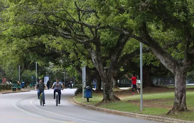 Carnaval 2023: veja como será o funcionamento do Parque Ibirapuera