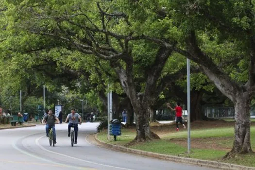 Confira a agenda de eventos desta semana no Parque do Ibirapuera