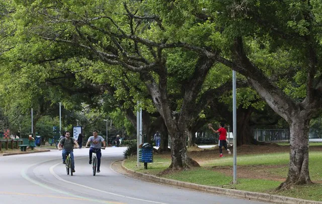 Confira a agenda de eventos desta semana no Parque do Ibirapuera