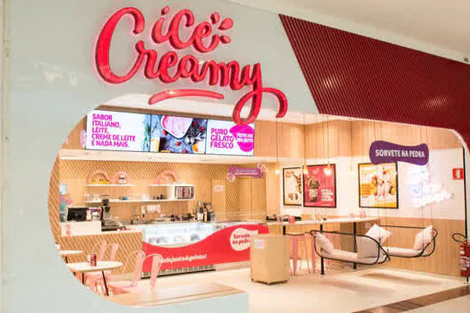 Rede Ice Creamy vai inaugurar 12 franquias até dezembro