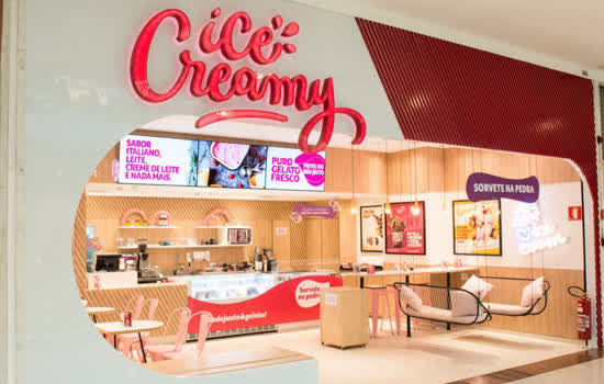 Rede Ice Creamy vai inaugurar 12 franquias até dezembro