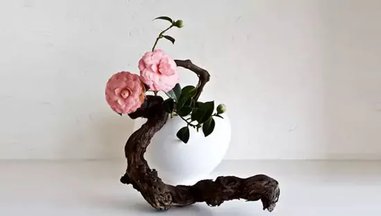 Professora de ikebana abordará organização com a arte