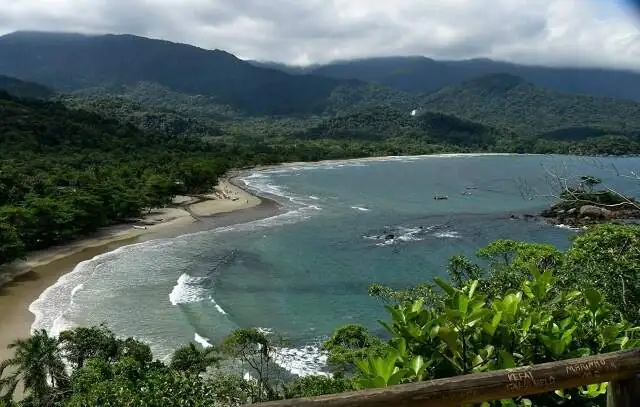 Lei que extingue reserva extrativista em Ilhabela (SP) é inconstitucional