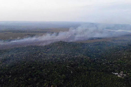 MPF não vê indícios de ação de brigadistas em incêndios florestais