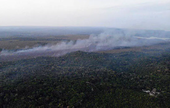 MPF não vê indícios de ação de brigadistas em incêndios florestais